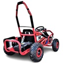 Buggy 1000W