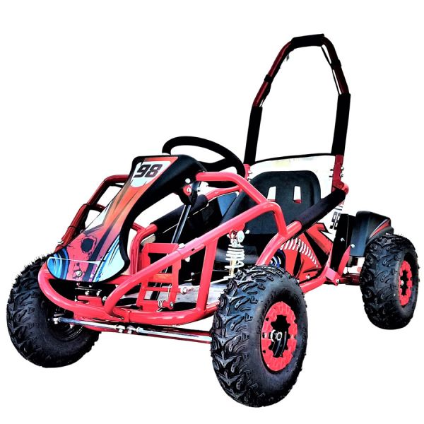 Buggy 1000W