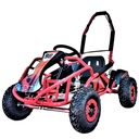 Buggy 1000W