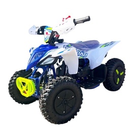 Mini quad 49cc Offroad