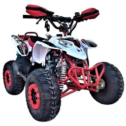 [PR/00719] Quad Polar R7″ 125cc