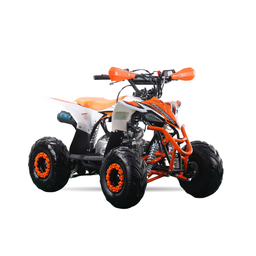[PR/00727] Mini Quad Rebel Master Mini Raptor 110CC (R-6 Llanta)